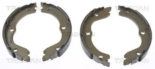 Bremsbackensatz, Feststellbremse Hinterachse TRISCAN 8100 14006