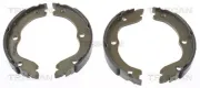 Bremsbackensatz, Feststellbremse Hinterachse TRISCAN 8100 14006