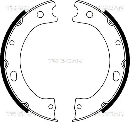 Bremsbackensatz TRISCAN 8100 14011