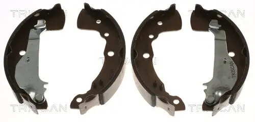 Bremsbackensatz Hinterachse TRISCAN 8100 14015 Bild Bremsbackensatz Hinterachse TRISCAN 8100 14015