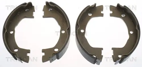 Bremsbackensatz, Feststellbremse TRISCAN 8100 15025