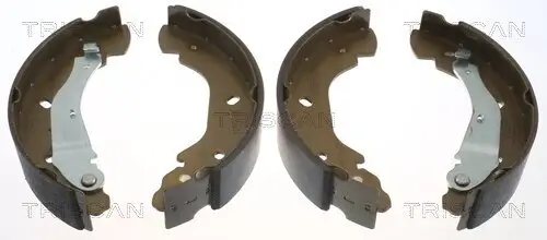 Bremsbackensatz TRISCAN 8100 16007