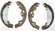 Bremsbackensatz Hinterachse TRISCAN 8100 17010