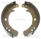 Bremsbackensatz, Feststellbremse TRISCAN 8100 17012