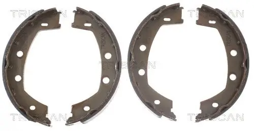 Bremsbackensatz, Feststellbremse Hinterachse TRISCAN 8100 17013 Bild Bremsbackensatz, Feststellbremse Hinterachse TRISCAN 8100 17013