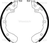 Bremsbackensatz TRISCAN 8100 18001