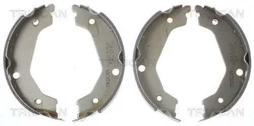 Bremsbackensatz, Feststellbremse Hinterachse TRISCAN 8100 18004