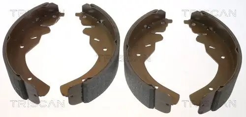 Bremsbackensatz Hinterachse TRISCAN 8100 18595