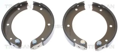 Bremsbackensatz, Feststellbremse Hinterachse TRISCAN 8100 20003 Bild Bremsbackensatz, Feststellbremse Hinterachse TRISCAN 8100 20003