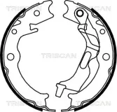 Bremsbackensatz TRISCAN 8100 21001