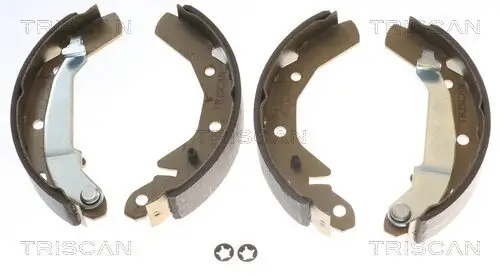 Bremsbackensatz TRISCAN 8100 21610