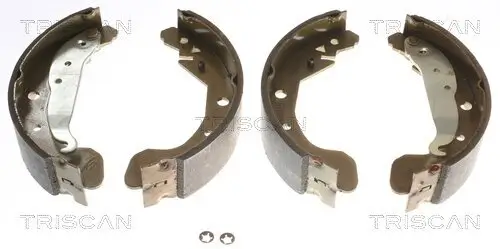 Bremsbackensatz TRISCAN 8100 21612