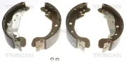 Bremsbackensatz TRISCAN 8100 21612