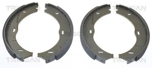 Bremsbackensatz TRISCAN 8100 23030 Bild Bremsbackensatz TRISCAN 8100 23030