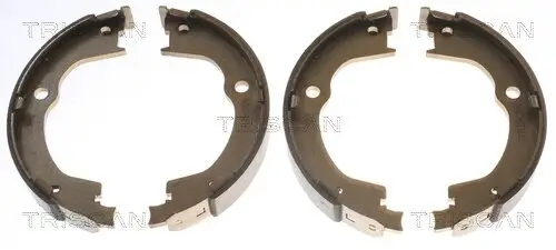 Bremsbackensatz, Feststellbremse Hinterachse TRISCAN 8100 24003
