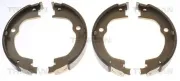 Bremsbackensatz, Feststellbremse Hinterachse TRISCAN 8100 24003