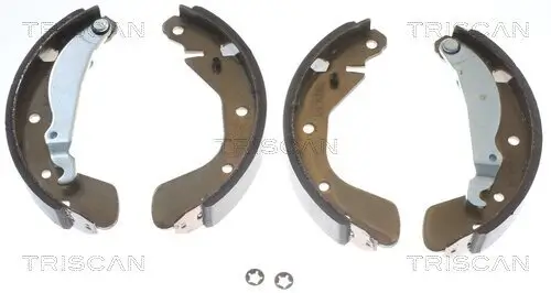 Bremsbackensatz Hinterachse TRISCAN 8100 24539