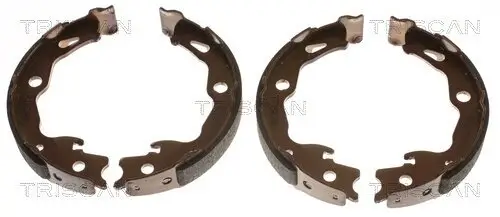 Bremsbackensatz, Feststellbremse Hinterachse TRISCAN 8100 25009