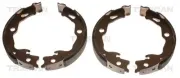 Bremsbackensatz, Feststellbremse Hinterachse TRISCAN 8100 25009