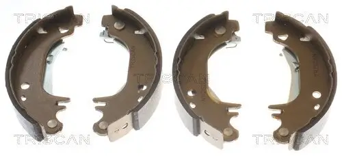 Bremsbackensatz Hinterachse TRISCAN 8100 28055 Bild Bremsbackensatz Hinterachse TRISCAN 8100 28055