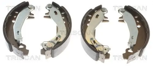 Bremsbackensatz Hinterachse TRISCAN 8100 28055 Bild Bremsbackensatz Hinterachse TRISCAN 8100 28055