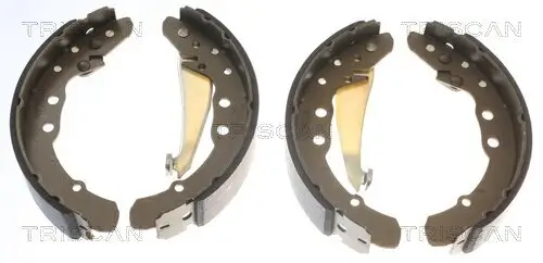 Bremsbackensatz Hinterachse TRISCAN 8100 29530 Bild Bremsbackensatz Hinterachse TRISCAN 8100 29530
