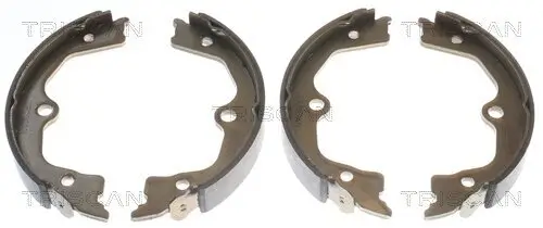 Bremsbackensatz, Feststellbremse Hinterachse TRISCAN 8100 40009