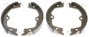 Bremsbackensatz, Feststellbremse Hinterachse TRISCAN 8100 40009