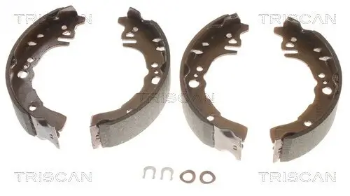 Bremsbackensatz TRISCAN 8100 41614