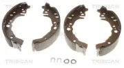 Bremsbackensatz TRISCAN 8100 41614