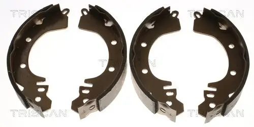 Bremsbackensatz Hinterachse TRISCAN 8100 42422