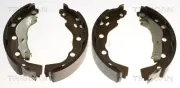 Bremsbackensatz Hinterachse TRISCAN 8100 42628