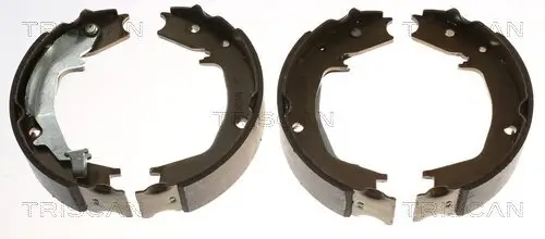 Bremsbackensatz, Feststellbremse TRISCAN 8100 43016