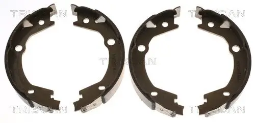 Bremsbackensatz, Feststellbremse TRISCAN 8100 43020
