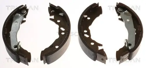 Bremsbackensatz TRISCAN 8100 43621
