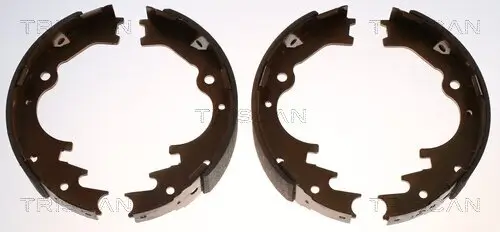 Bremsbackensatz Hinterachse TRISCAN 8100 50526