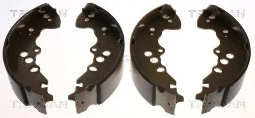Bremsbackensatz Hinterachse TRISCAN 8100 69003