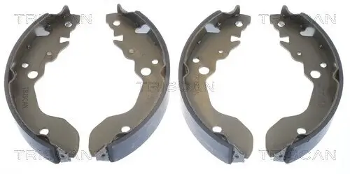Bremsbackensatz Hinterachse TRISCAN 8100 69007
