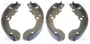 Bremsbackensatz Hinterachse TRISCAN 8100 69007