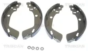 Bremsbackensatz Hinterachse TRISCAN 8100 69009