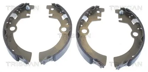 Bremsbackensatz TRISCAN 8100 69600