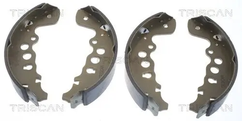 Bremsbackensatz TRISCAN 8100 69608