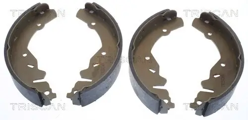 Bremsbackensatz Hinterachse TRISCAN 8100 80002