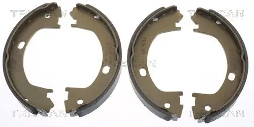 Bremsbackensatz TRISCAN 8100 80003