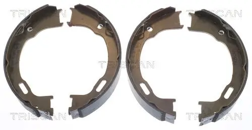 Bremsbackensatz, Feststellbremse Hinterachse TRISCAN 8100 80012