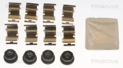 Zubehörsatz, Scheibenbremsbelag Hinterachse TRISCAN 8105 101681