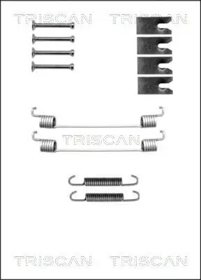 Zubehörsatz, Bremsbacken Hinterachse TRISCAN 8105 102598