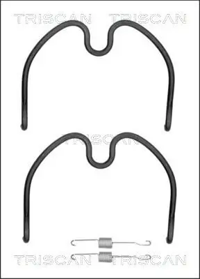 Zubehörsatz, Bremsbacken Hinterachse TRISCAN 8105 102607