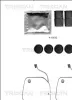 Zubehörsatz, Scheibenbremsbelag Vorderachse TRISCAN 8105 111623