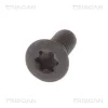 Schraube, Bremsscheibe TRISCAN 8105 11667